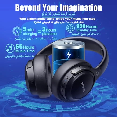 WH202A Wireless Headphone