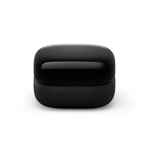 LinkBuds Open Wireless Earbud