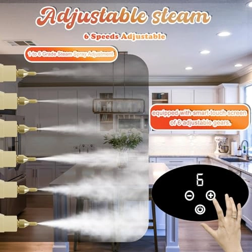 Steam Cleaner - 1000 Milliliters