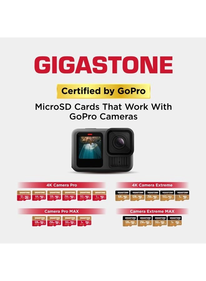 Micro SD Card - 256GB