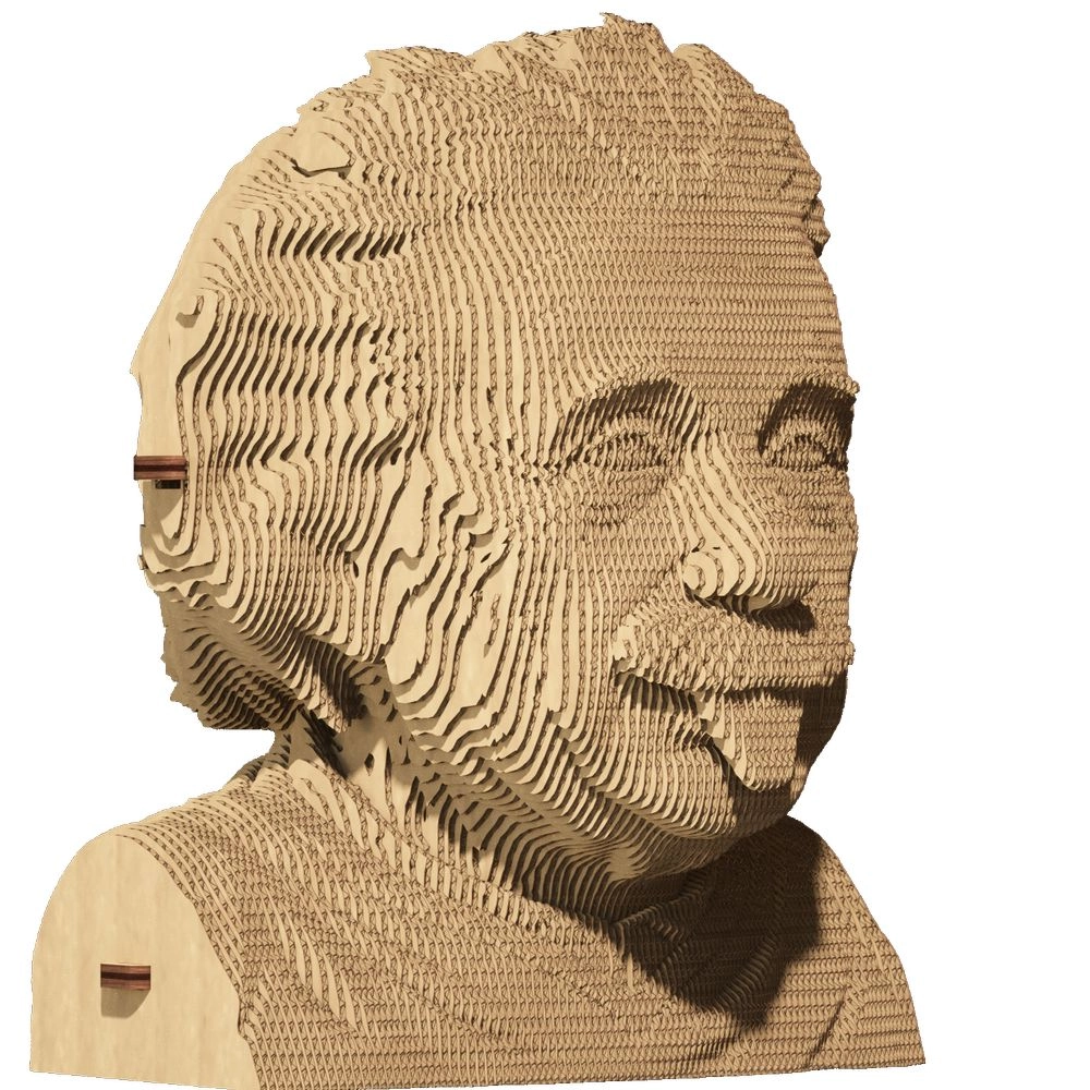 Albert Einstein 3D Puzzle (CARTMALB) - 172 pcs