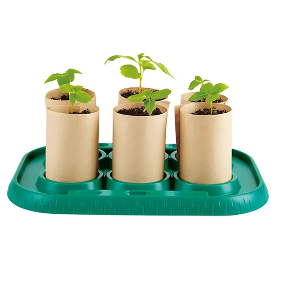 Growing Gardeners Greenhouse - 4 years+