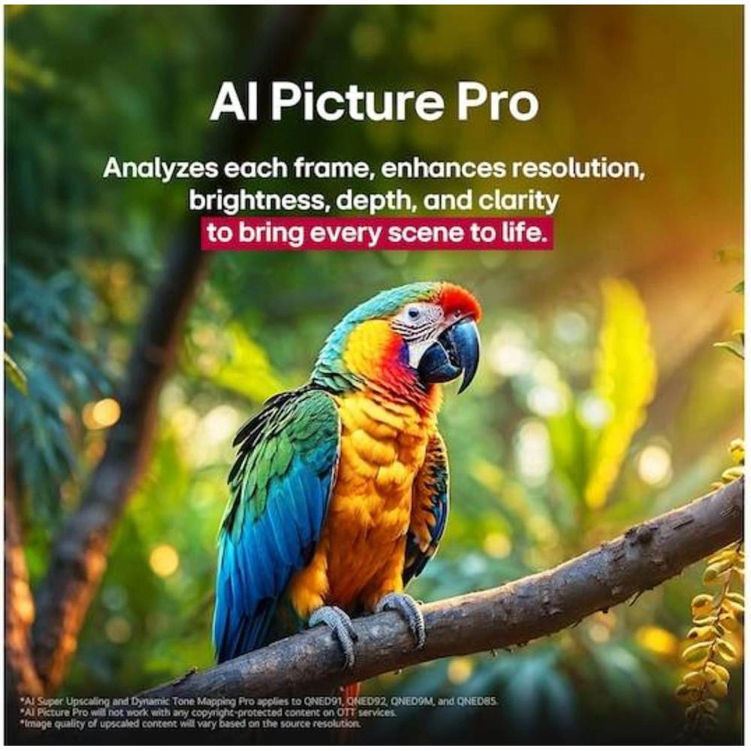 65QNED91A6A-AMAQ - 65 in