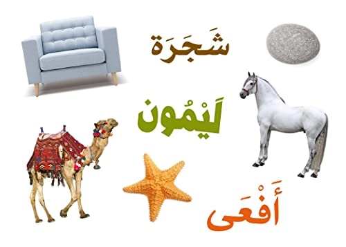 BADIHA Intuition - All Ages 55 pieces