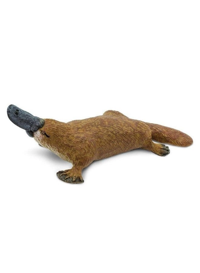 Safari Ltd Children's Toy Figures - Platypus