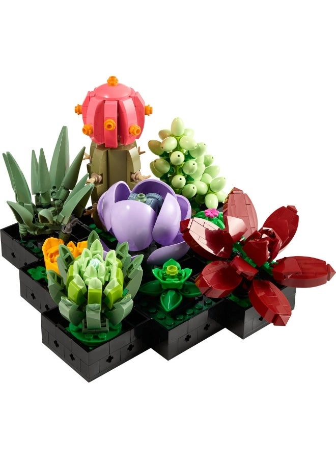 Succulents (10309) - Flowers