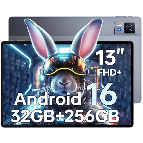 U13 - 256GB 13"