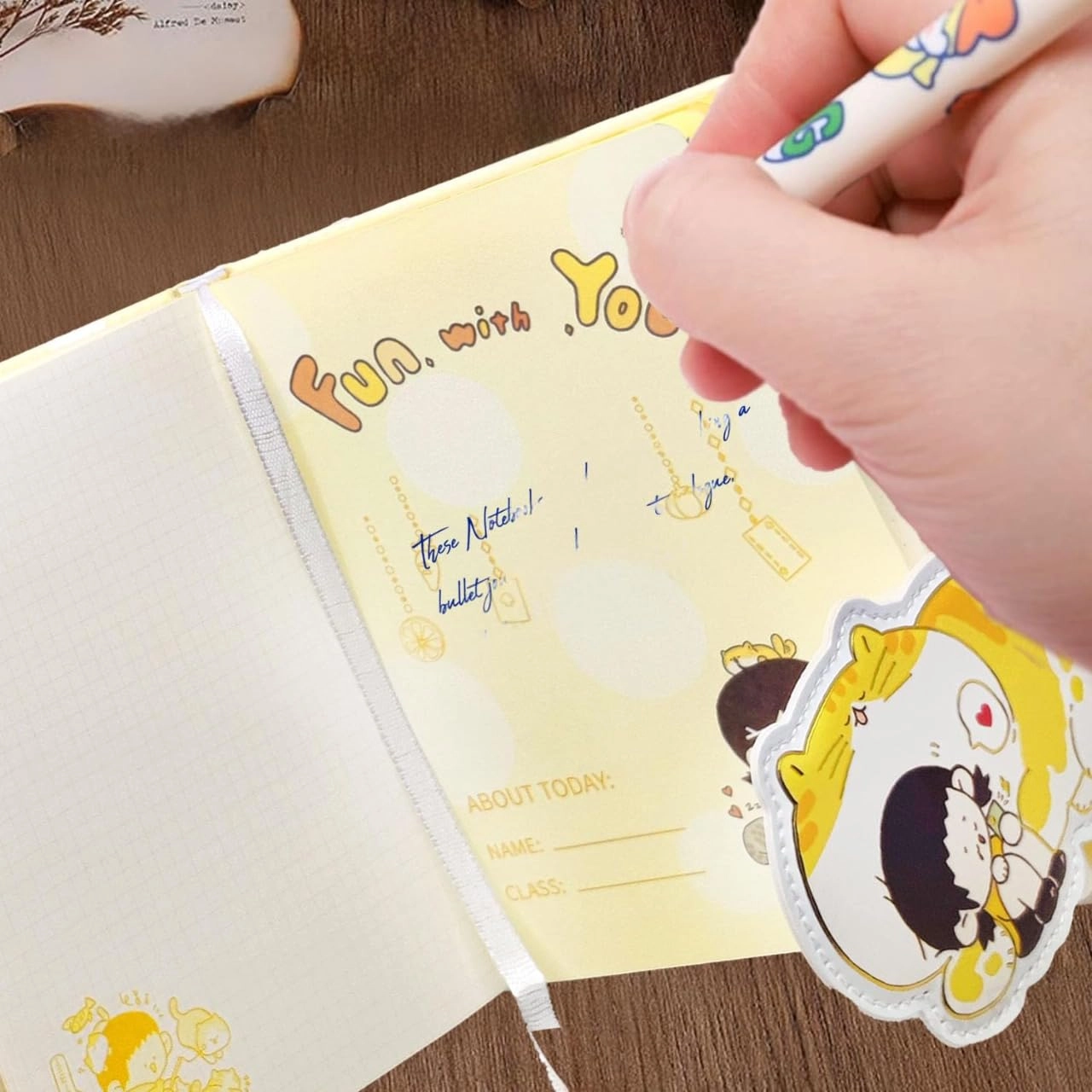 Diary for Girls