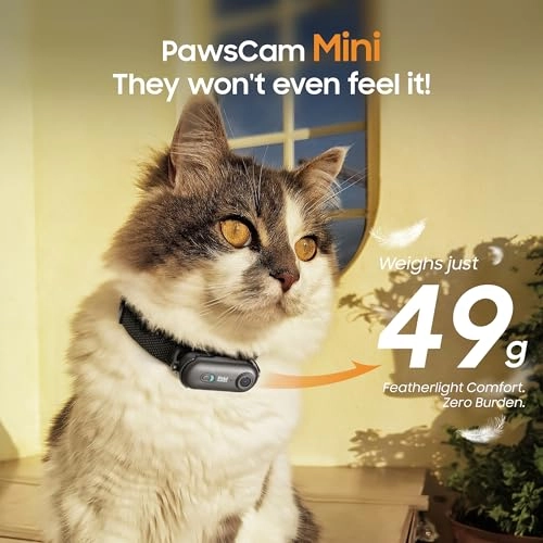 4K Pet Camera Collar