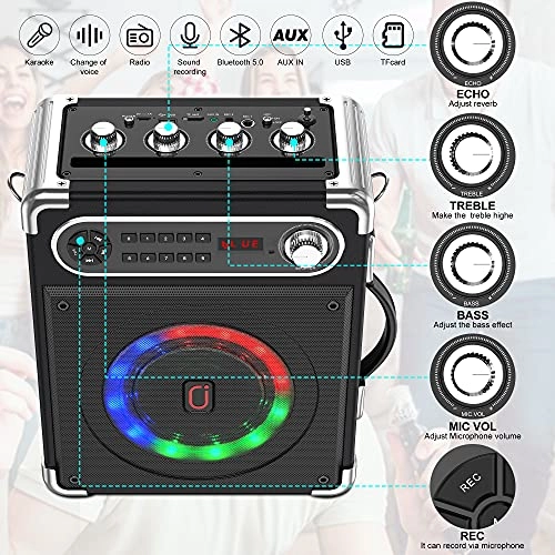 Karaoke machine - 2 wireless microphone