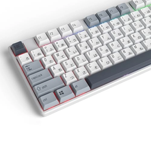 PBT keycaps - ANSI ISO