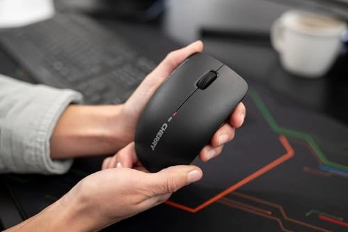 MW2400 Mouse - Wireless