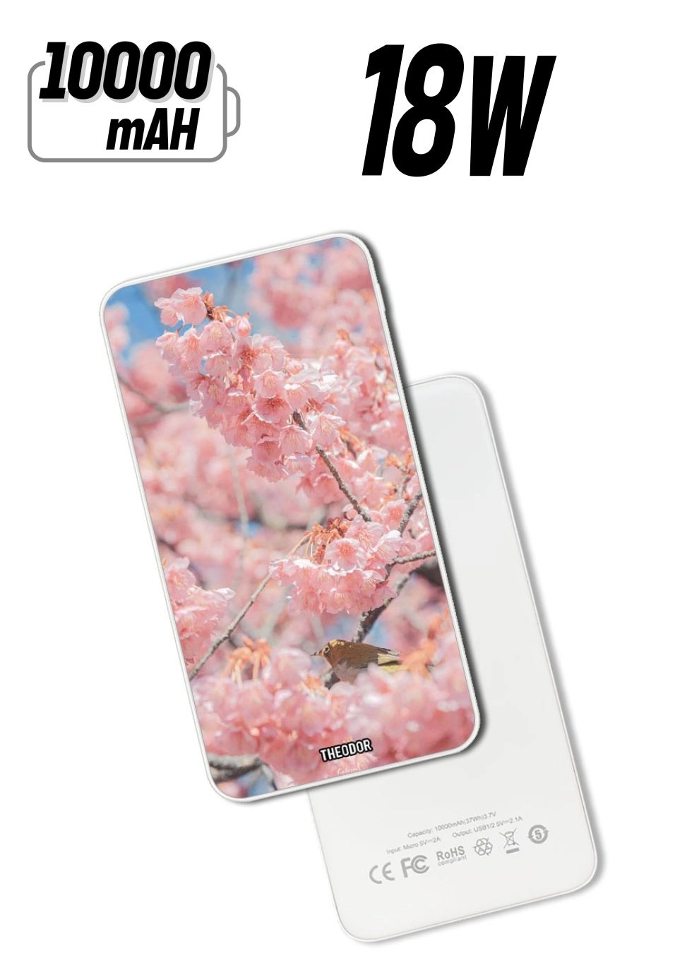 Theodor EX_PPBA441 - 10000mAh 18W