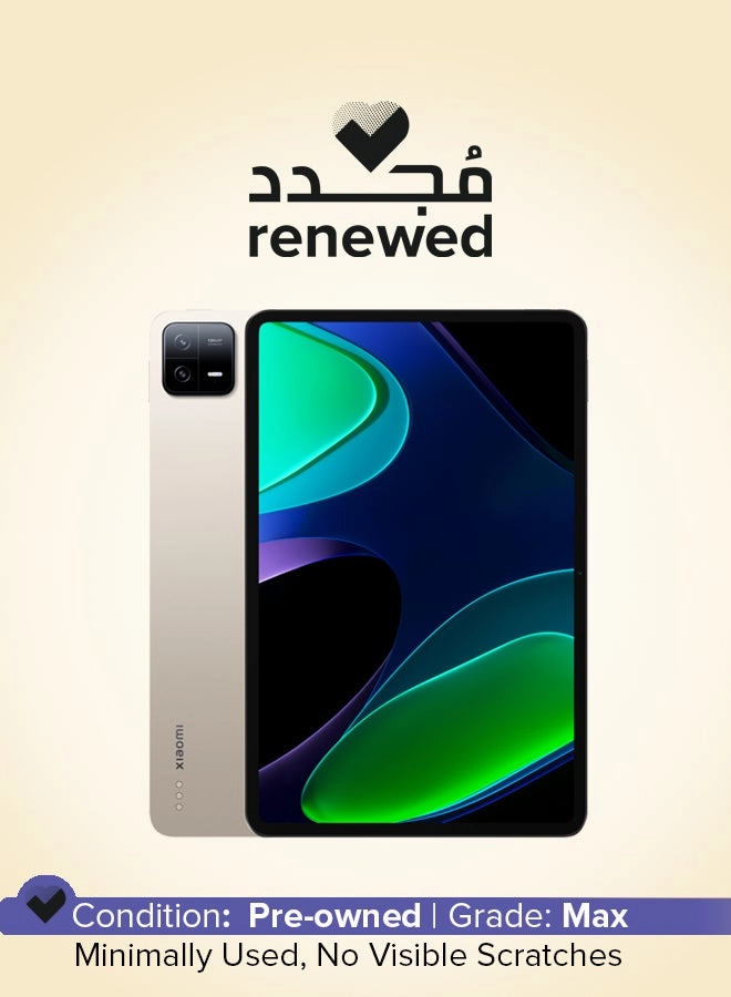 (Renewed) Pad 6 - 256GB 11"