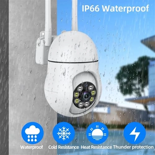 YZL2025.11.66