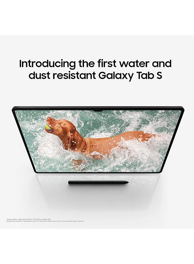 (Renewed) Galaxy Tab S9 Ultra - 256GB 14.6"