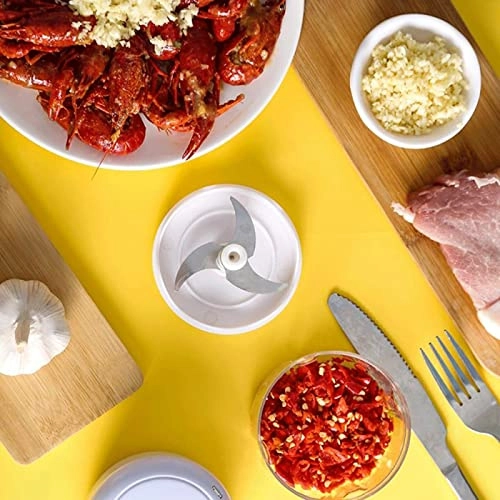 Mini Food Processors & Choppers - 250ml