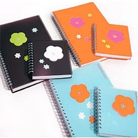 Writing Notebooks