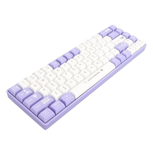 61 Keys Mechanical Keyboard