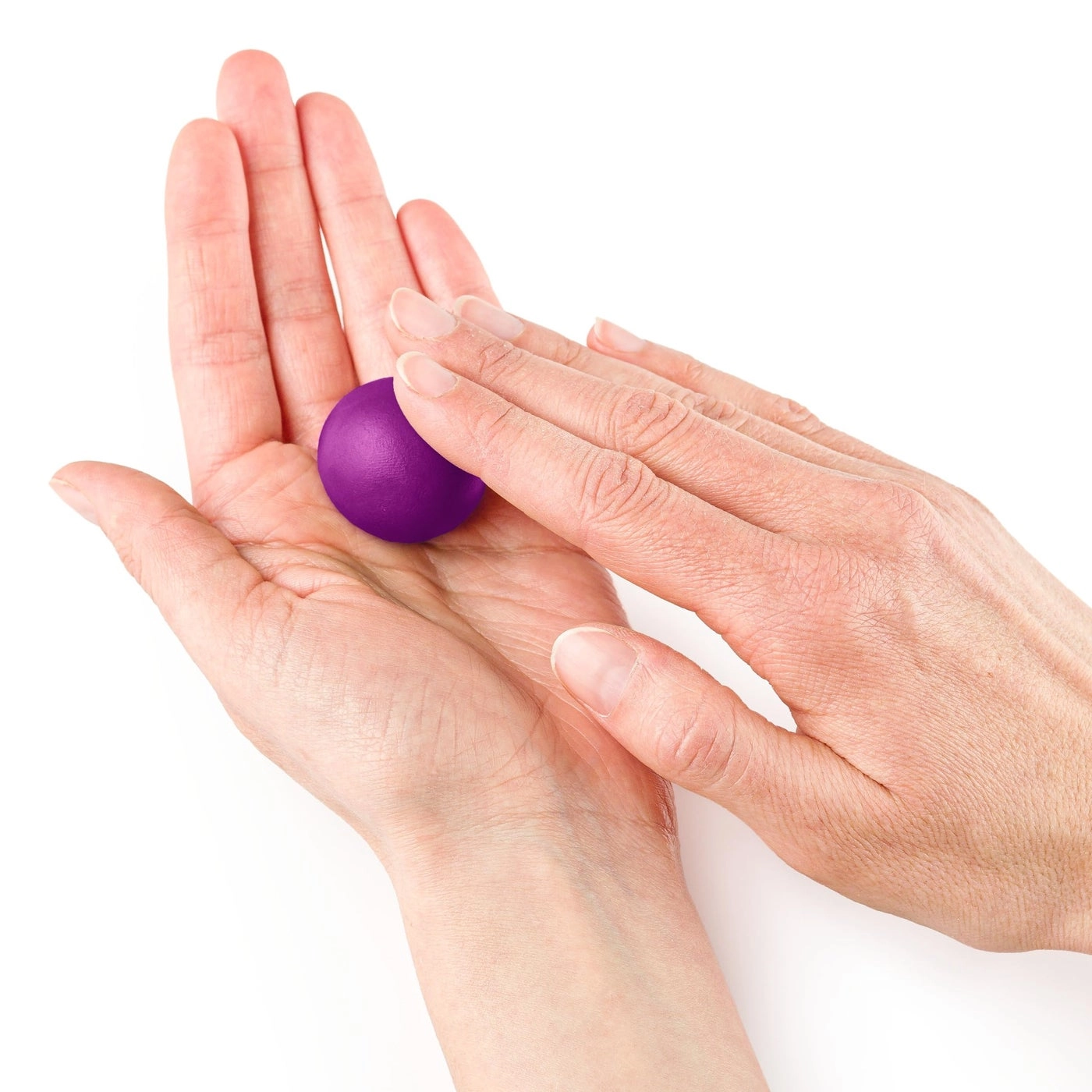 FIMO Professional Polymer Clay - 454g