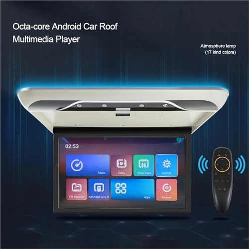 Roofmount LCD Monitor - 19in