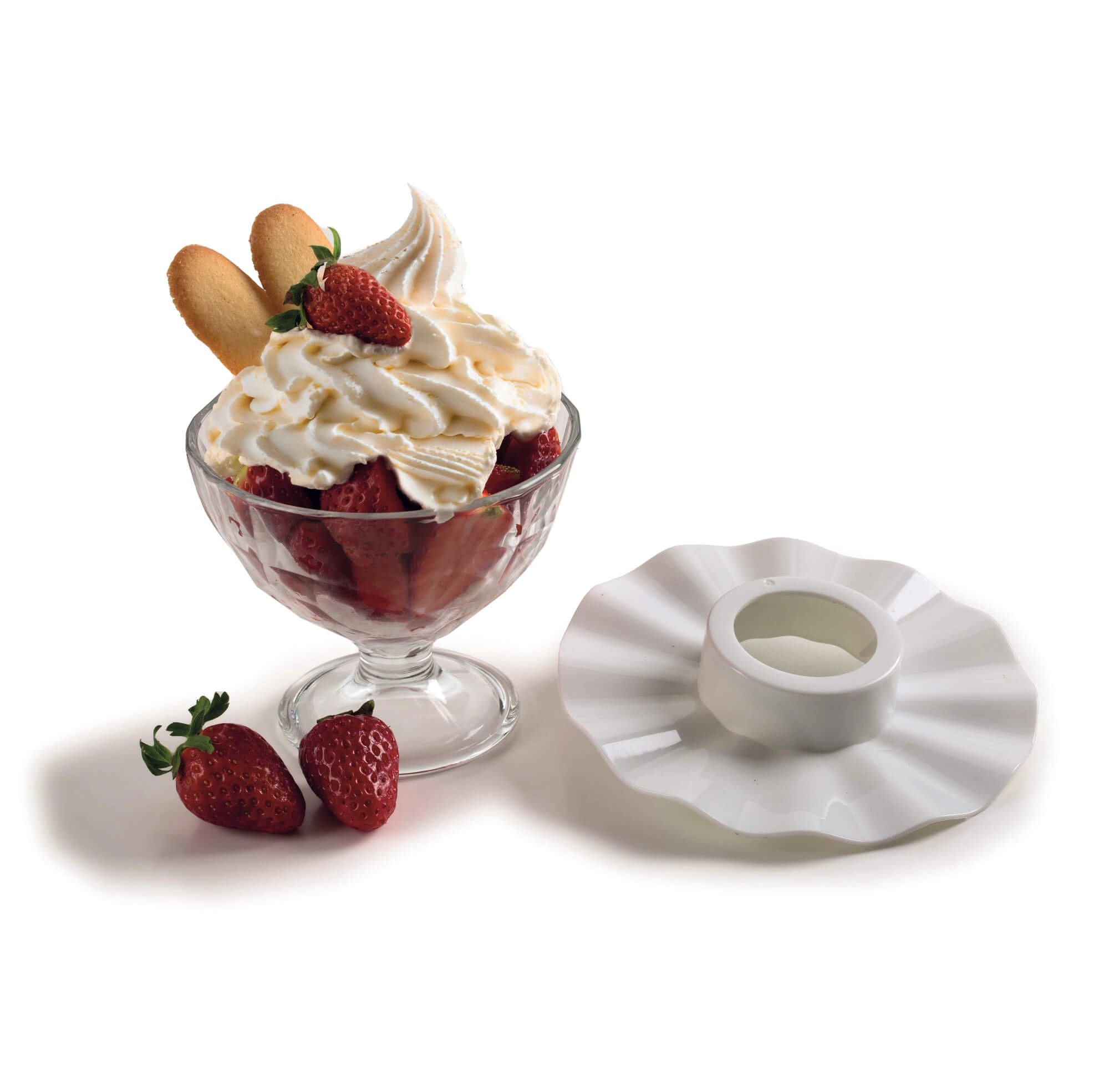 1781 - 2.1 L 1000 watts