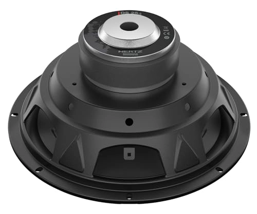 DS-253 - 250 W 10"