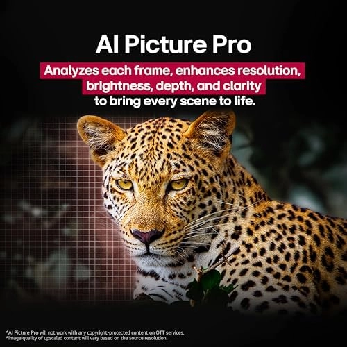 OLED48C5PUA.AUSZ - 48 Inches