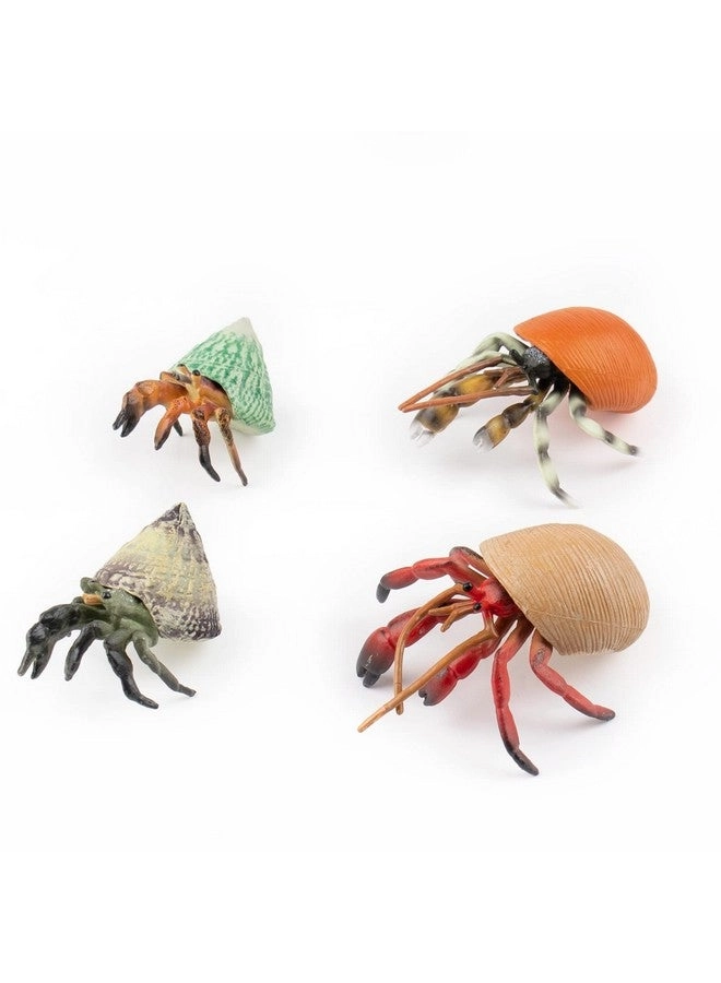 Framendino Hermit Crab Model - 4 Pack Realistic Sea Animals