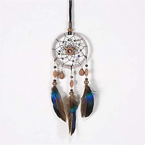 Dreamcatcher - Siderosphere, feathers, lines, wood beads.