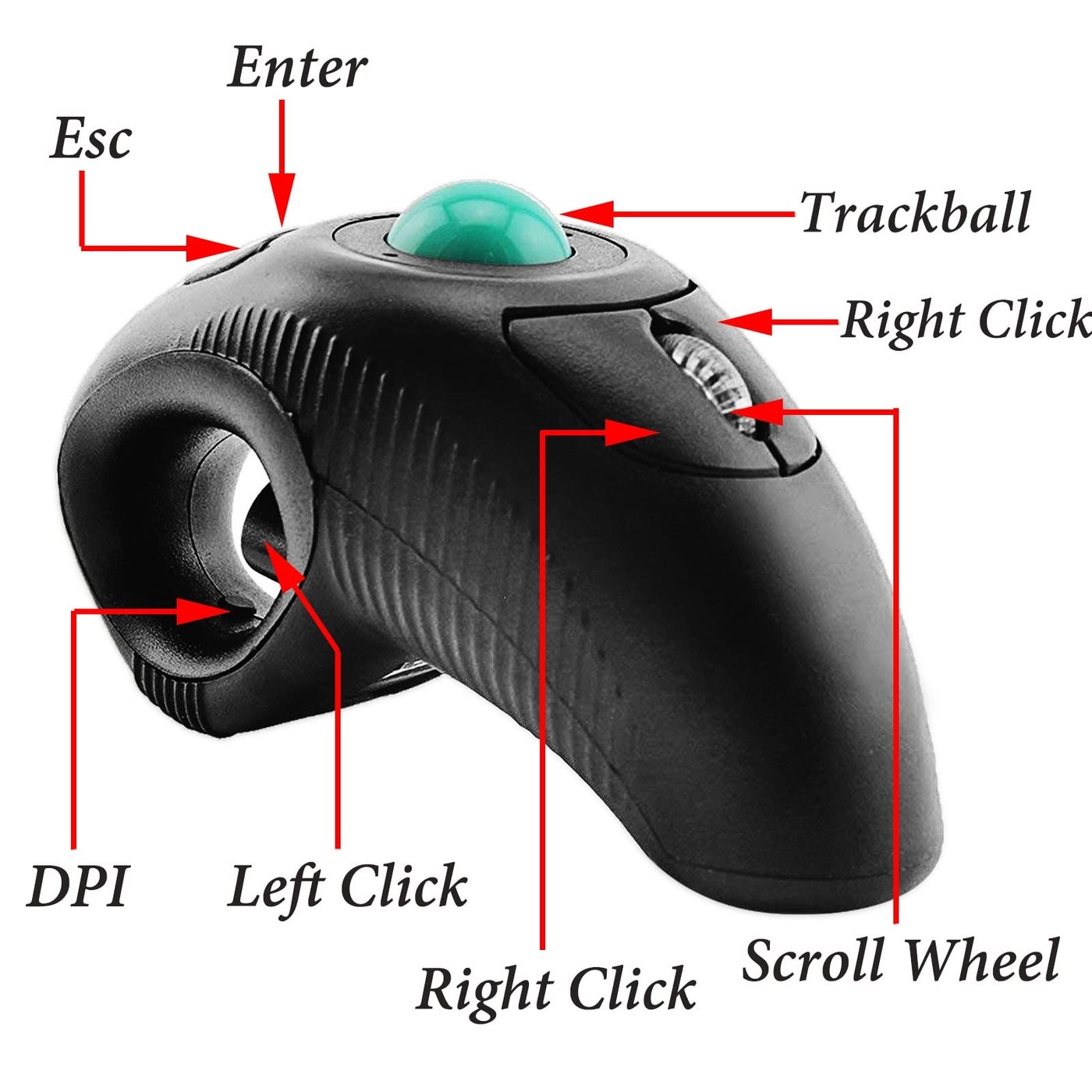 Ergonomic Handheld Trackball Mouse - Wireless