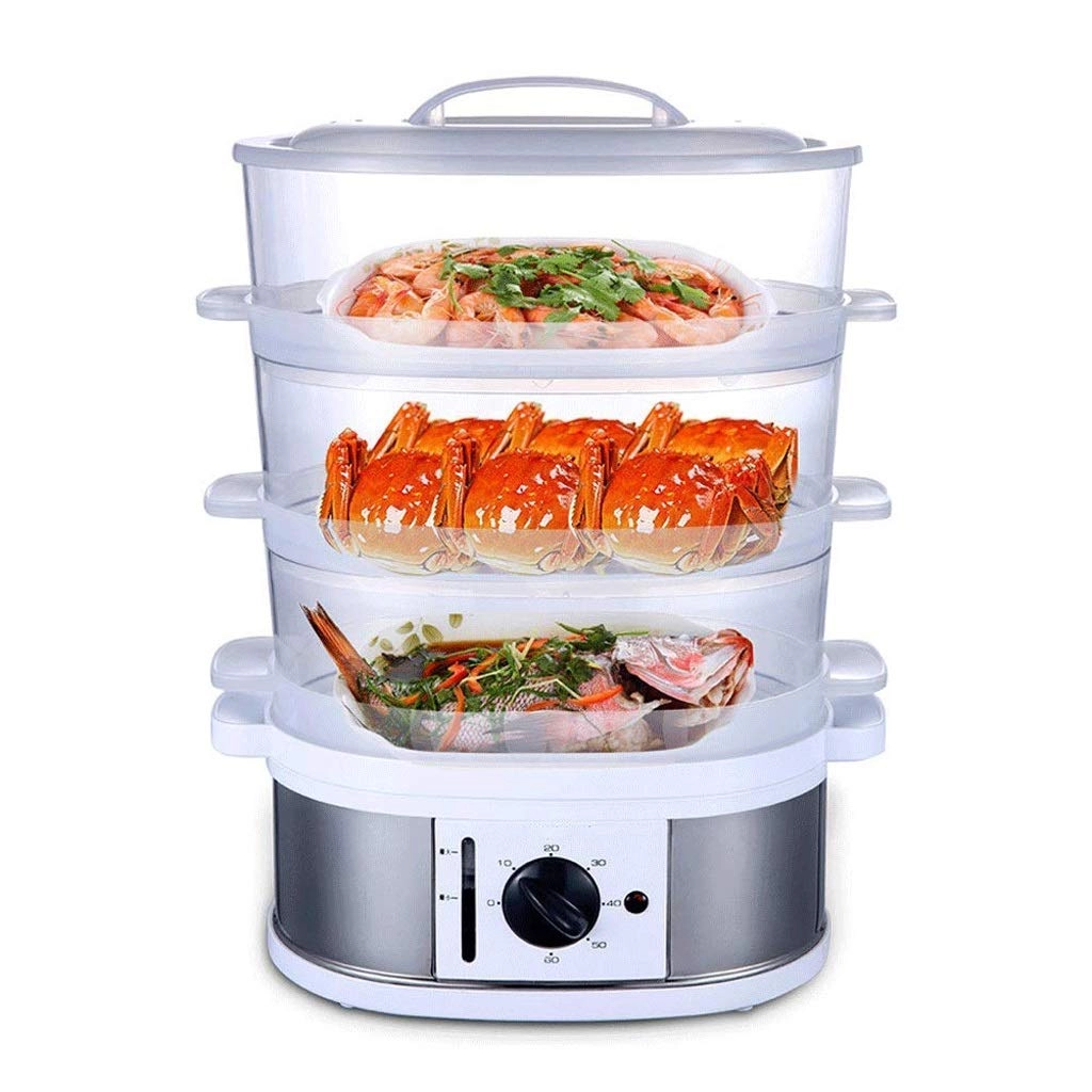 Electric Steamer - 3