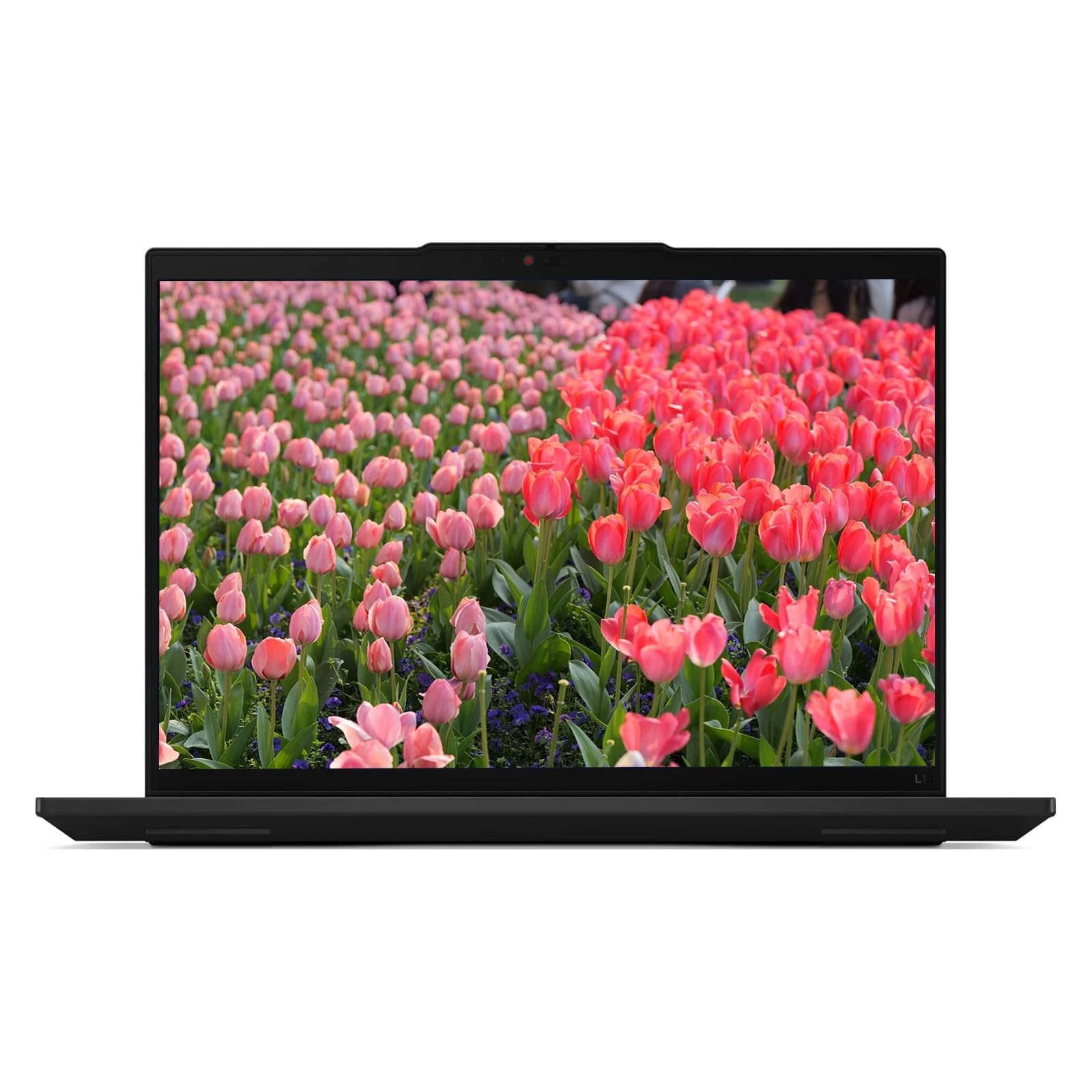 Lenovo ThinkPad L14 AMD - 14'' Ryzen 5 PRO 7535U 16GB DDR5 256GB SSD