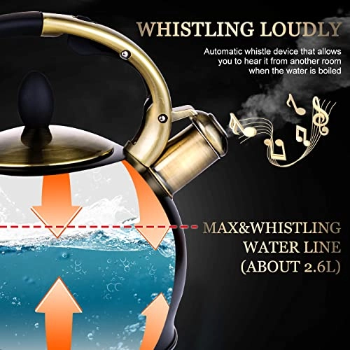 Stove Top Whistling Tea Kettle - 2.6 Liters