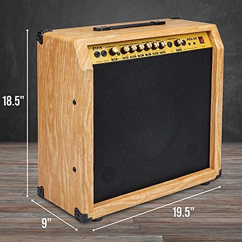 Electric Guitar Amplifier - 60W 10" 4-Ohm Speaker