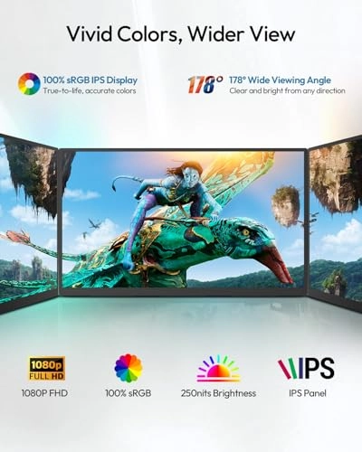 Portable Monitor - SXMFP0001 23.8" 1920x1080