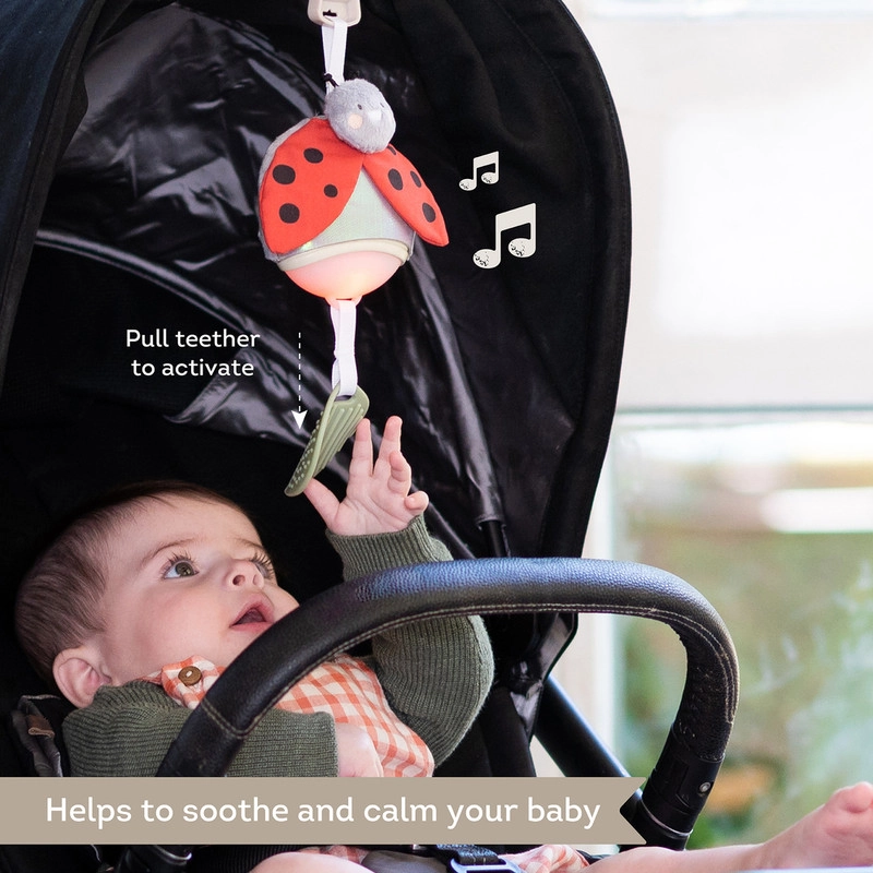 Ladybug Take Along Toy - Suitable for 0 month & above