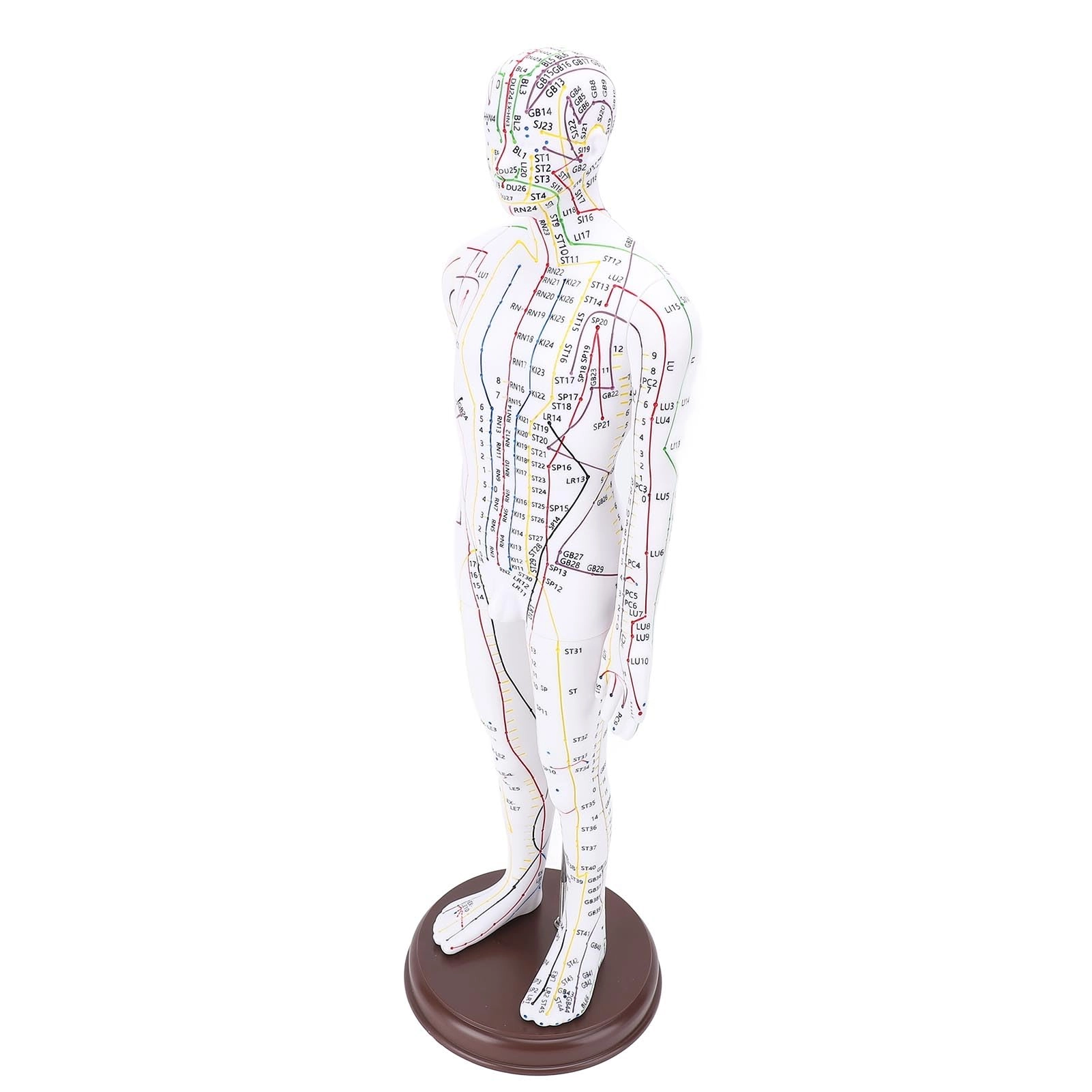 SENECESLI Acupuncture Doll
