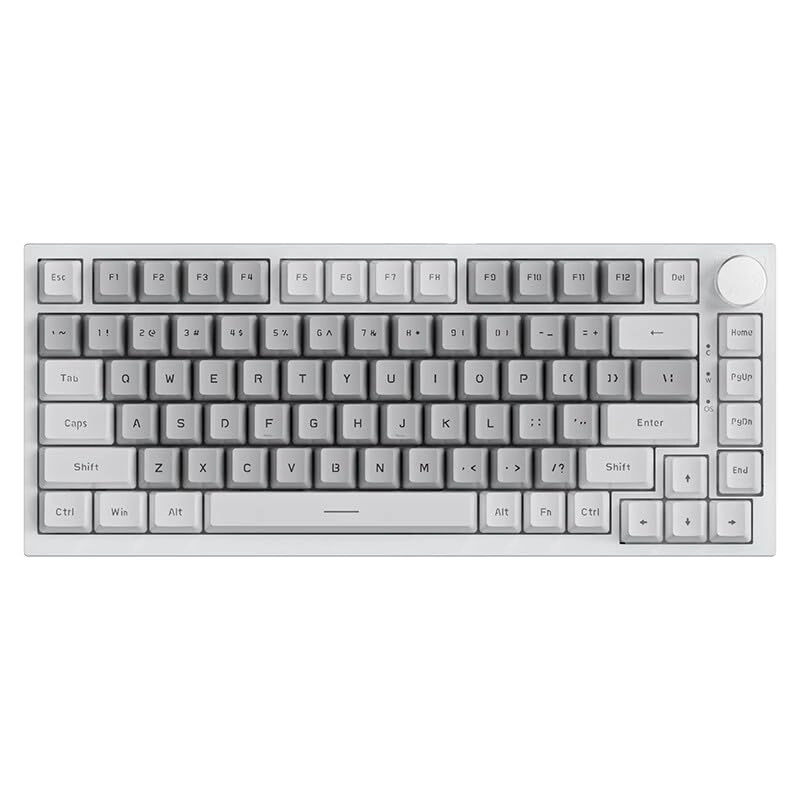 AK820 - Retro Similar HP Switch Wired