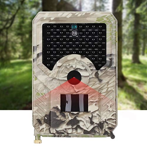 QinqINdhZh3qLh - 12MP