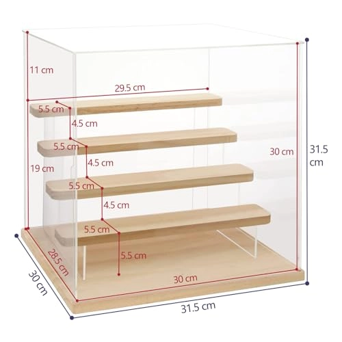 Acrylic Display Case