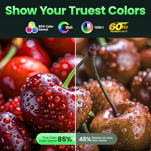 Portable Monitor - 1080P FHD 15.6 Inch