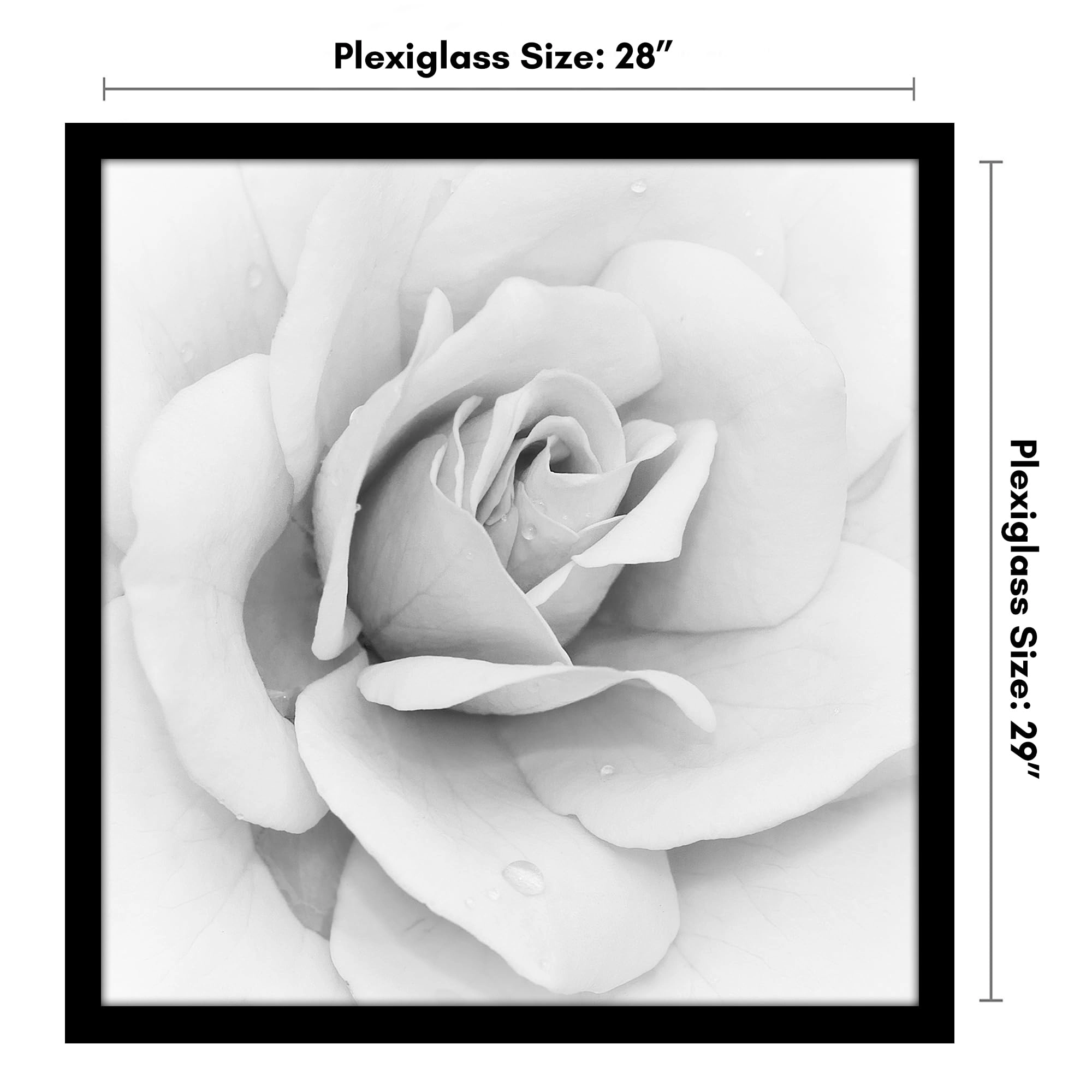 Poster Frame - 28X29