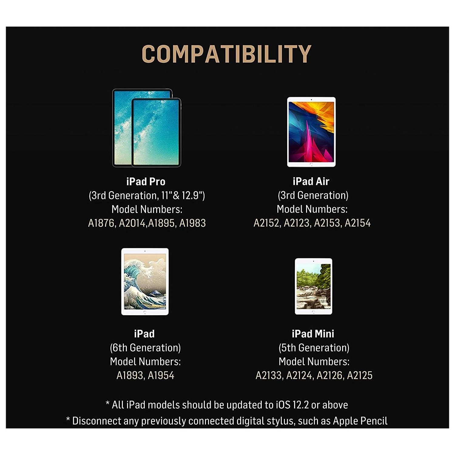 Note - All iPad models (should be updated to iOS 12.2 or above)