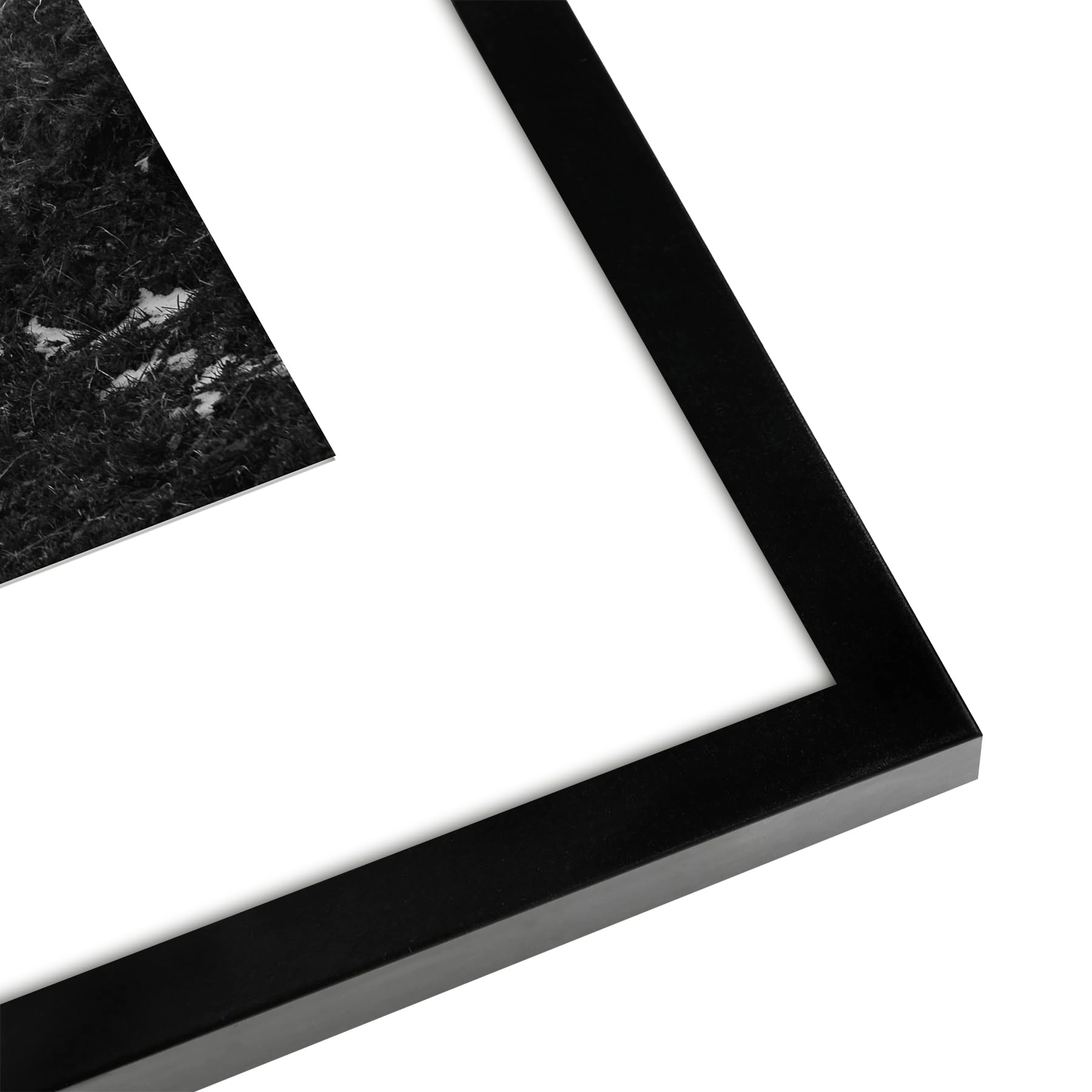 Front Loading Picture Frame - 16X20