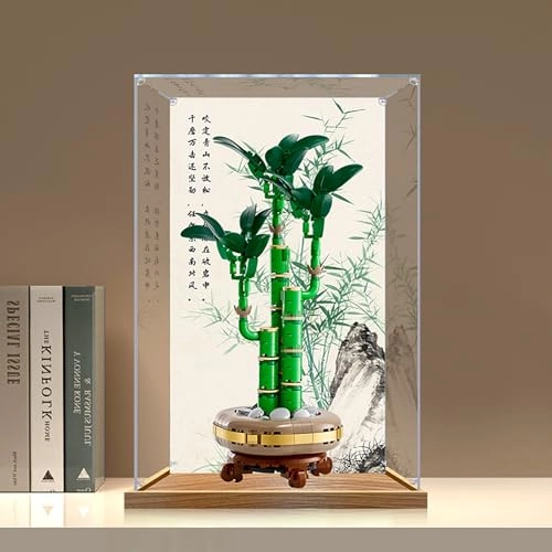 Display Case - Compatible with 10344 Dustproof Clear Acrylic