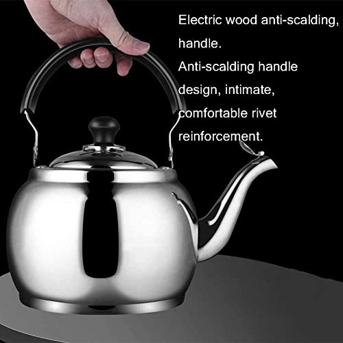 Stovetop Induction Whistling Kettle - 5L