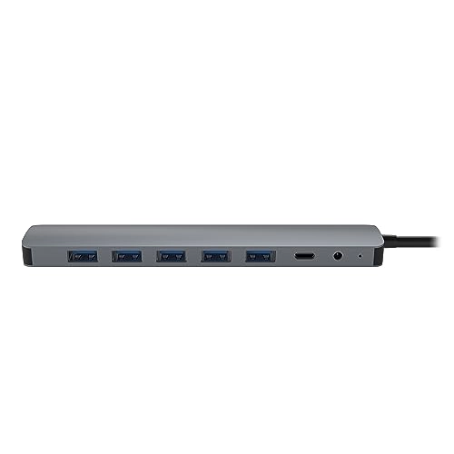 Selfpowered 7Port USB Hub