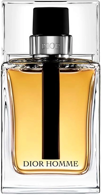 Christian Dior Dior Homme Eau de Toilette 100ml