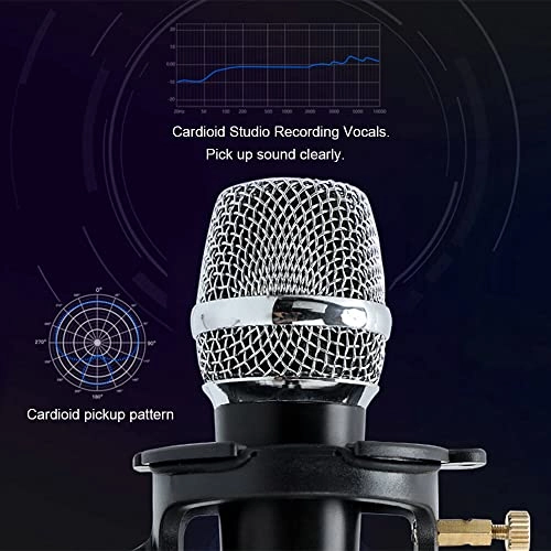 SK-30 USB Microphone
